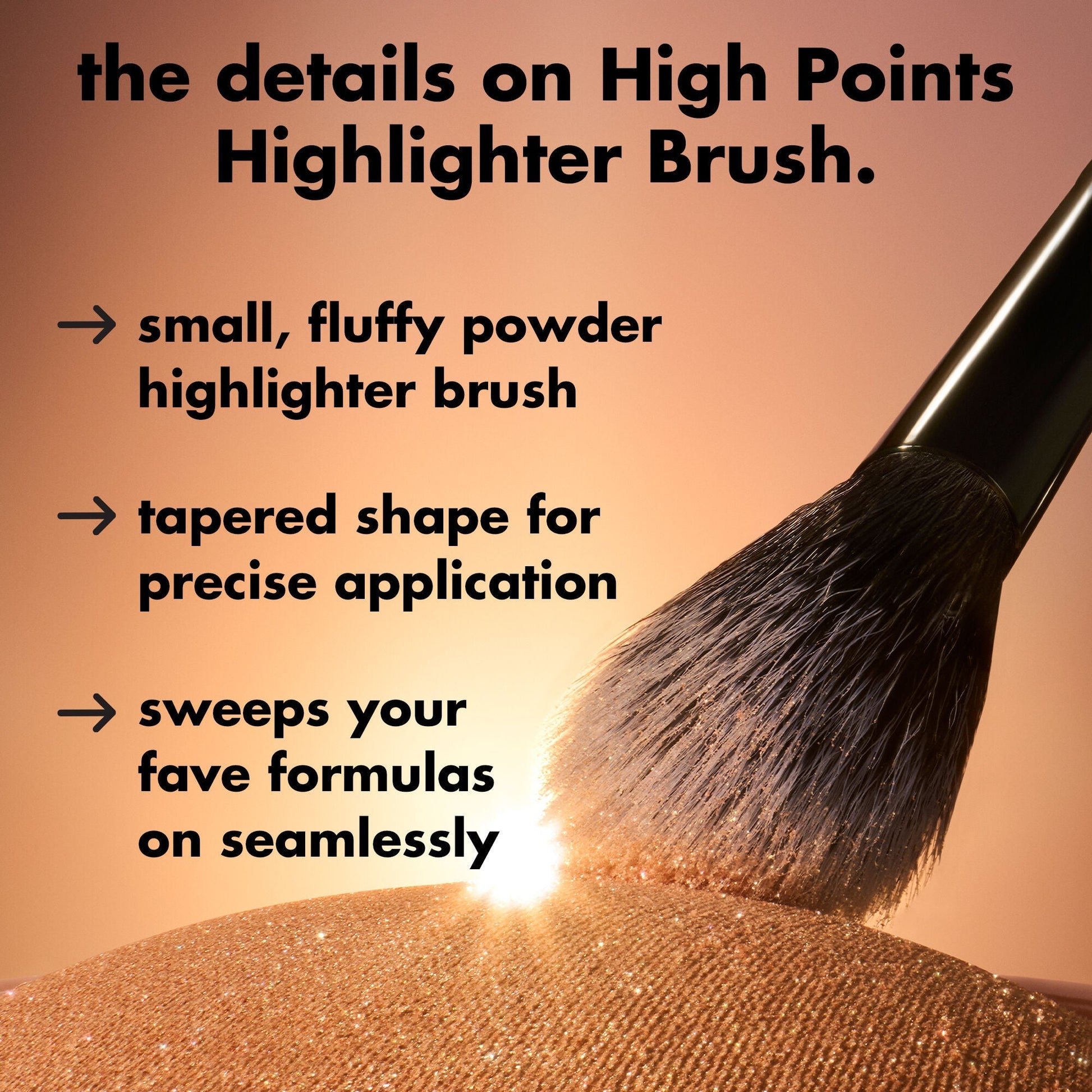 high-points-highlighter-brush-t4 0226_EDU_HighpointsHighlighterBrush_Details.jpg