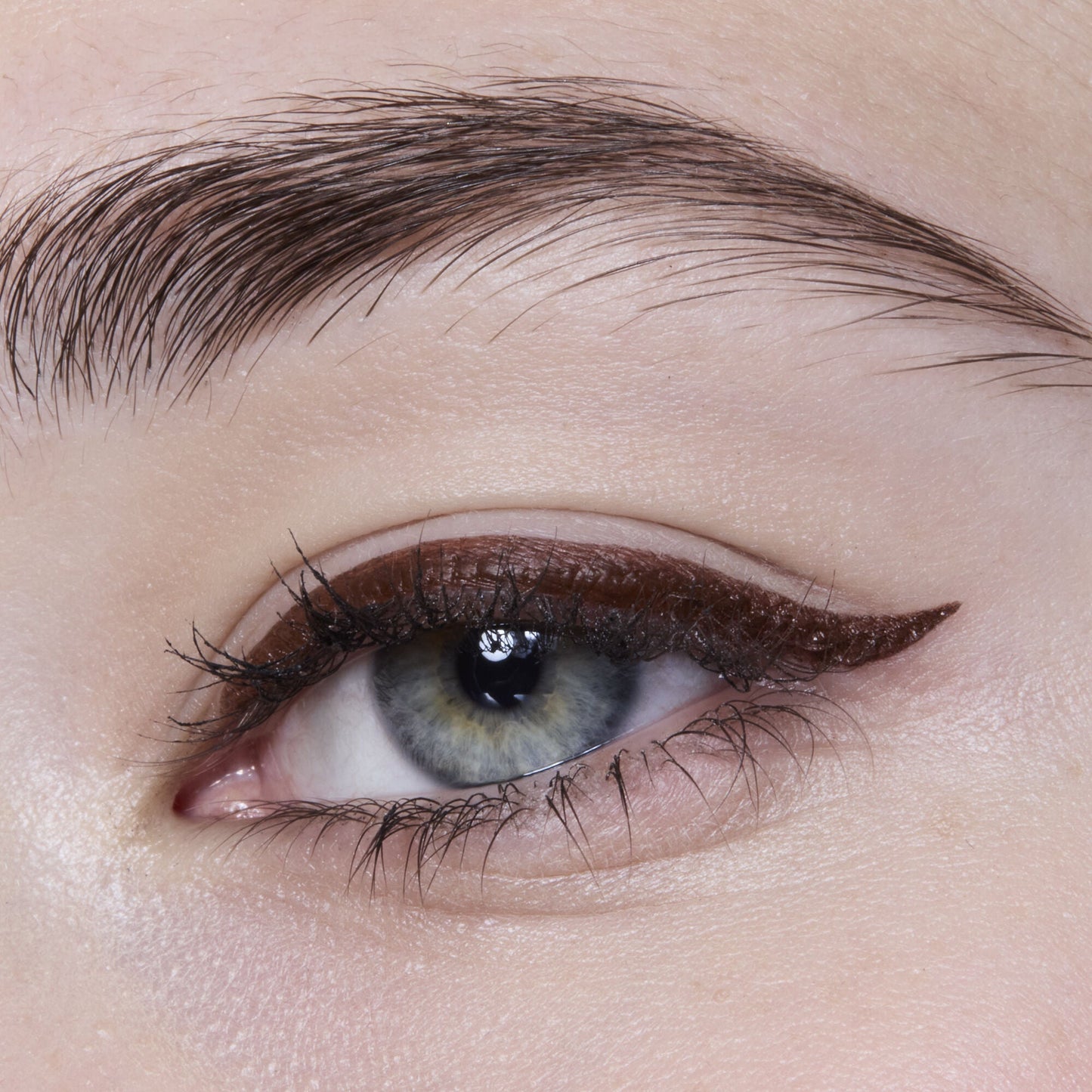 Chestnut Brown image 3